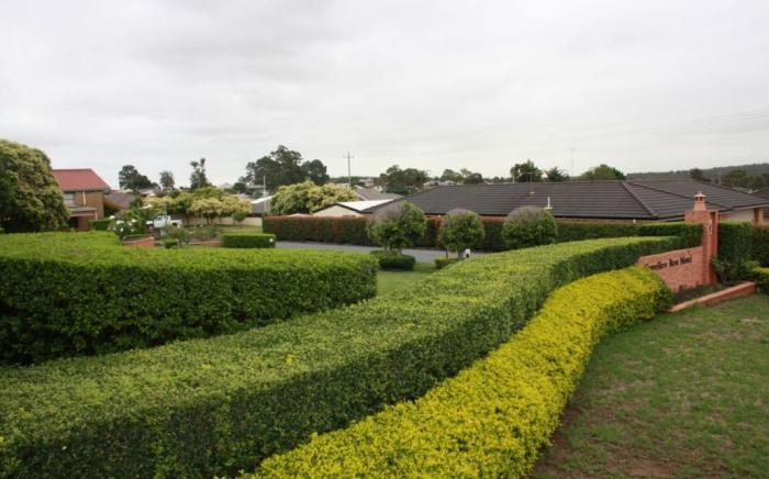 hunter valley travellers rest motel