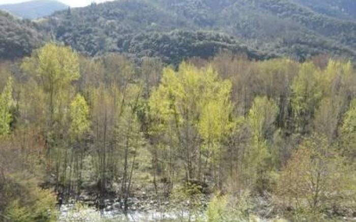 Appart'Hotel Castel Emeraude, Charme et Caractere