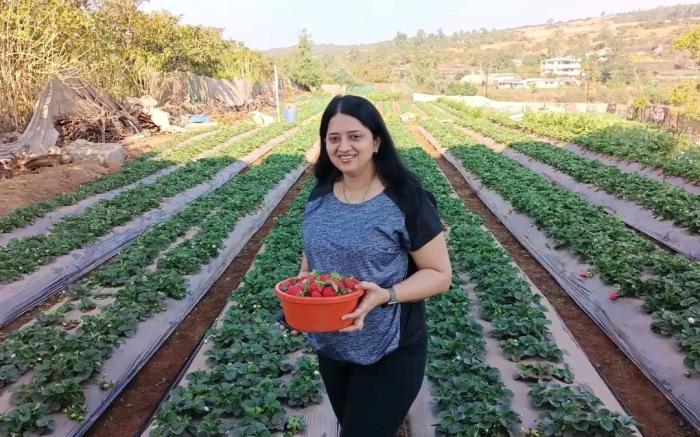 MANSHA'S High5 Resort