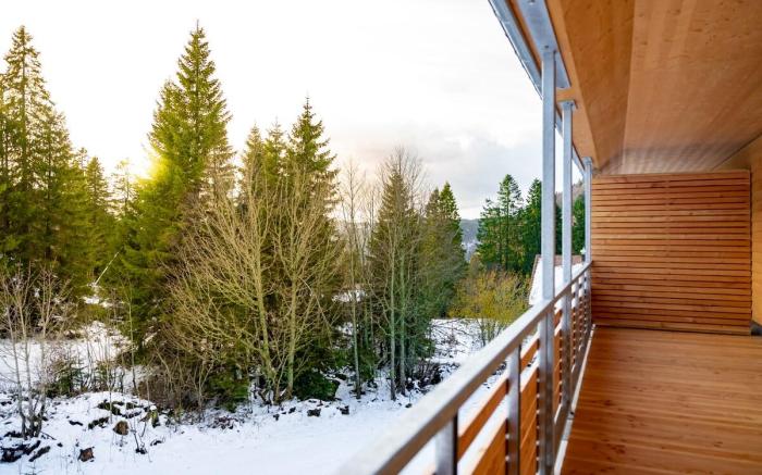 Ferienwohnung Feldberg Schwarzwald - Wolke 8 -