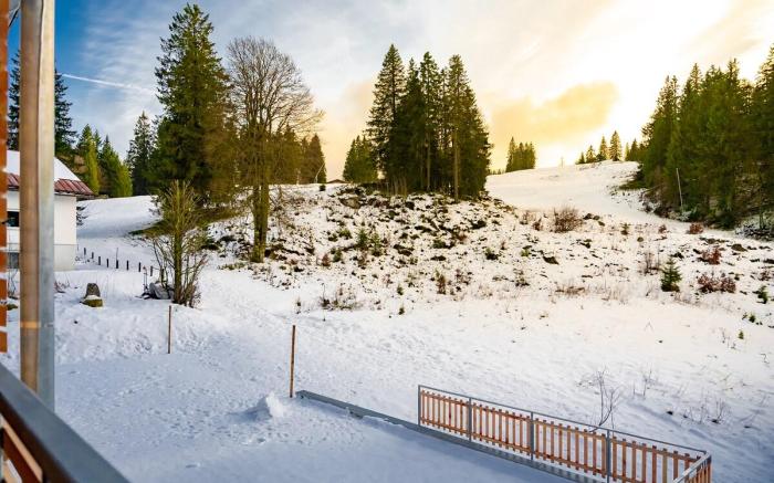 Ferienwohnung Feldberg Schwarzwald - Wolke 8 -