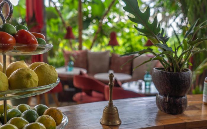 Firefly EcoLodge