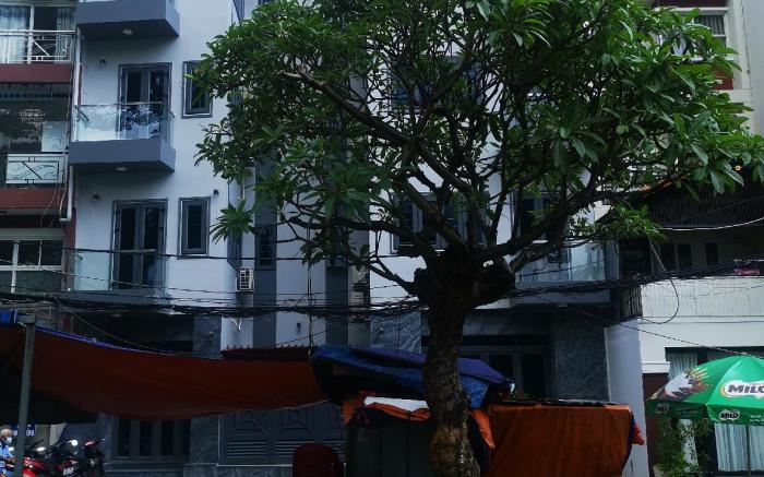 Brand New Cozy Home in the heart of Saigon