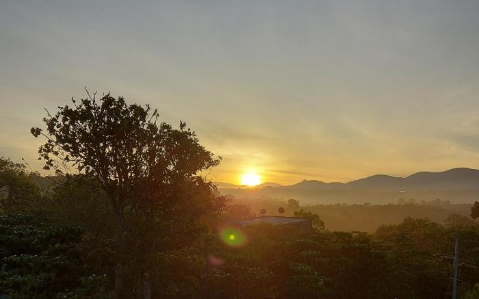 Thông Farmstay Loc Duc
