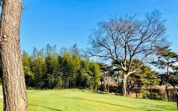 Boryeong Pinovista Pet allowed Pension