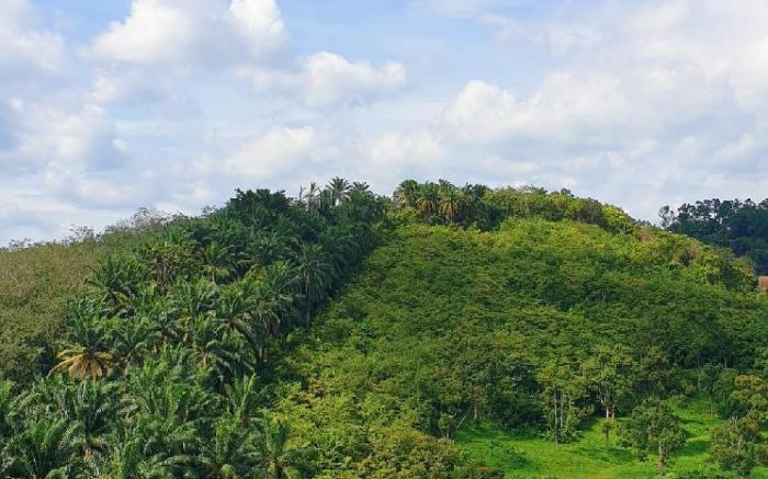 KLIA Ehsan Nilai Greenery View Family Suite