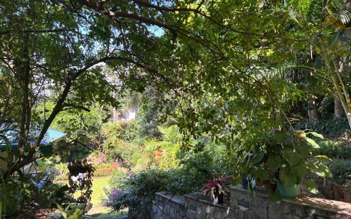 Kandy Tree Tops