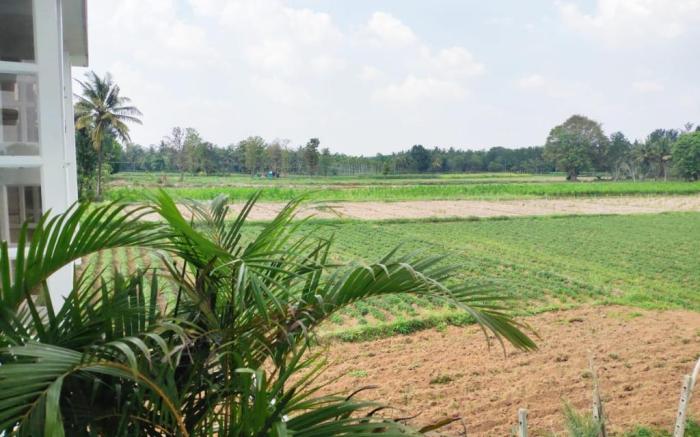 Coorg home stay,Misty Brooks Villa Coorg