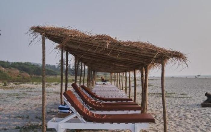 Woodpegger By The Beach