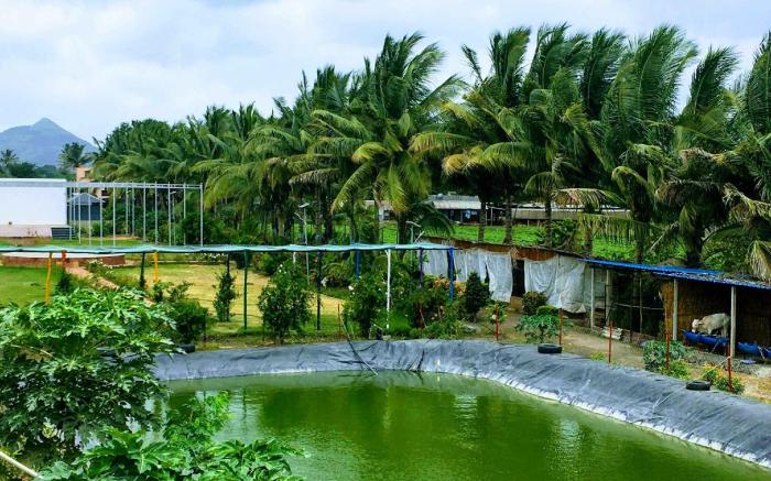 Mybhumi Resort