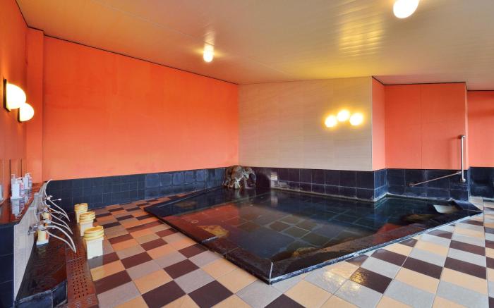 Hotel Seiryu Japanese Spa inn with spectacular view in Osaka