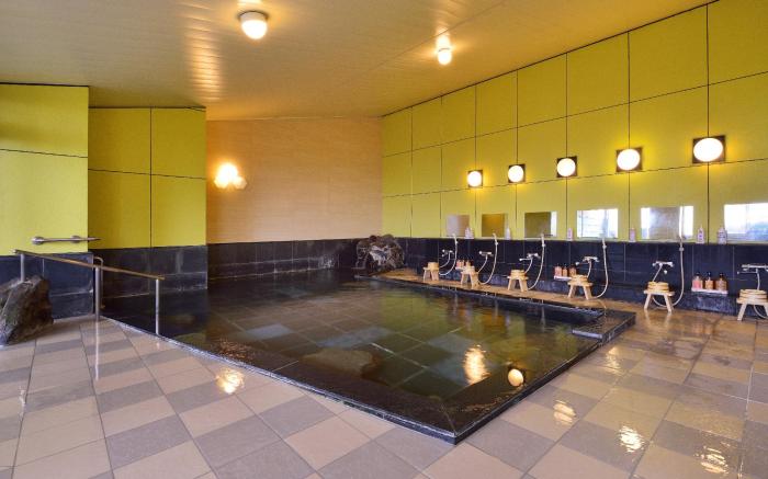 Hotel Seiryu Japanese Spa inn with spectacular view in Osaka