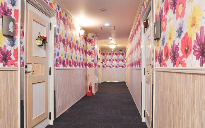 Roselips Tsuruhashi (Adult Only)