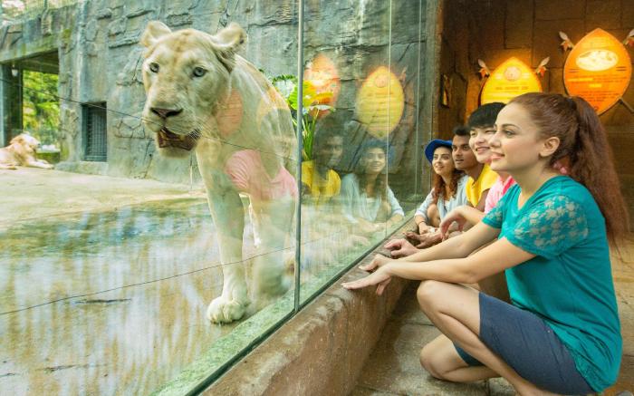 Lagoon Villa at Sunway Lagoon Theme Parks