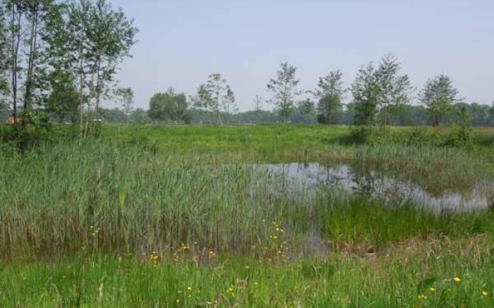 Hotel Hof van 's Gravenmoer