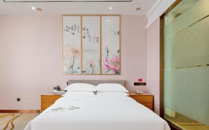 Rezen Select Hotel Nanning High-Tech Zone