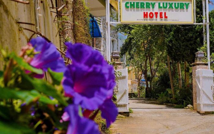 Cherry Luxury Hotel