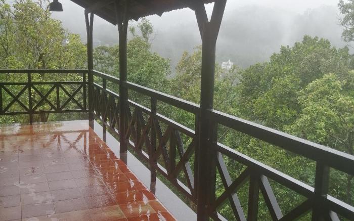 The Wild Trails Clarks Exotica Munnar
