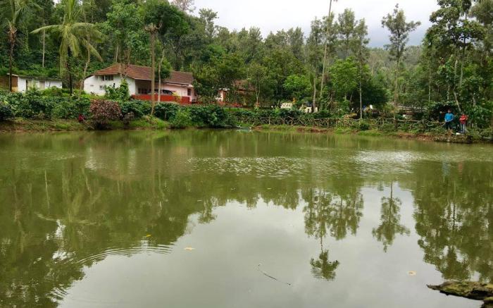 Green Glade Homestay-Coorg