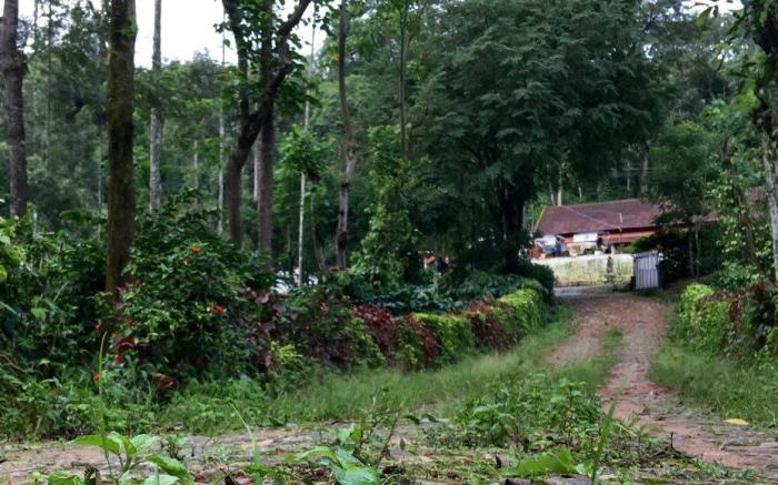 Green Glade Homestay-Coorg