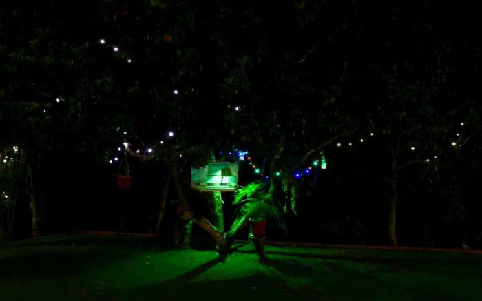 Green Glade Homestay-Coorg