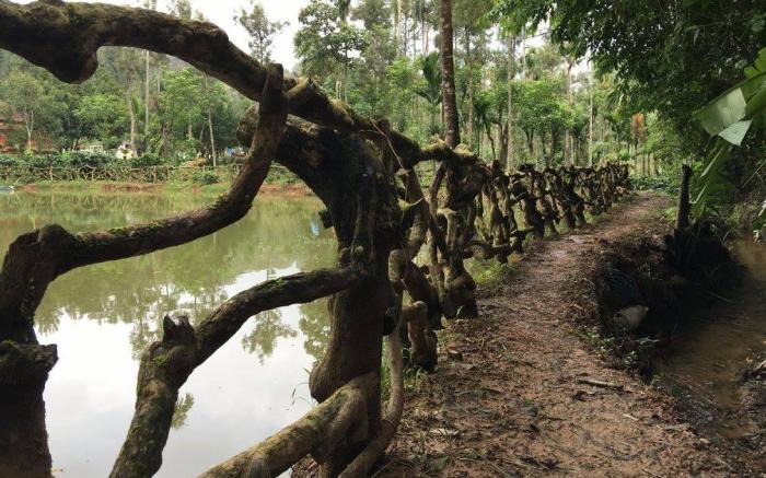 Green Glade Homestay-Coorg