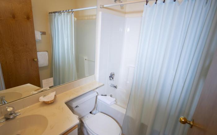 Mountain Lodge at Okemo