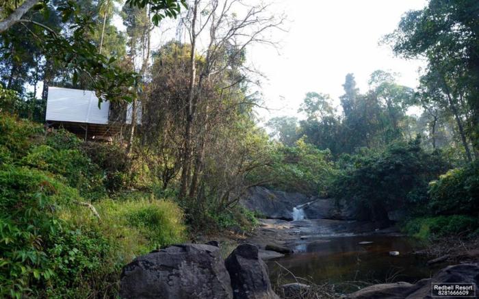 Redbell Resort Wayanad