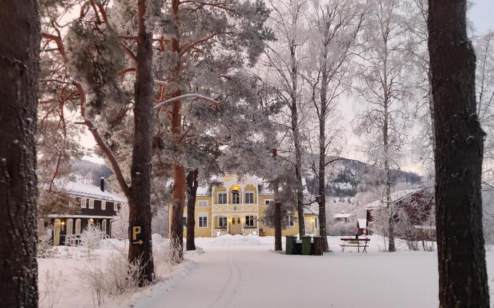 Hammarstrand Budget Hotel - Lergodset