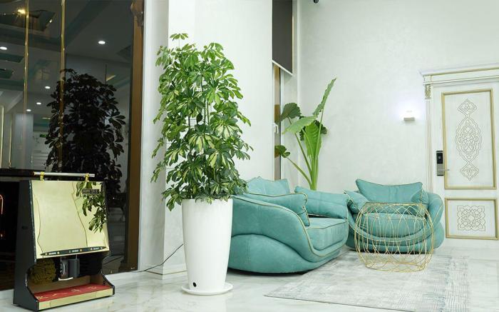 Reikartz Amirun Tashkent
