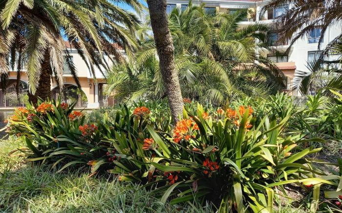 Majorca Apartments by Bon Hotels