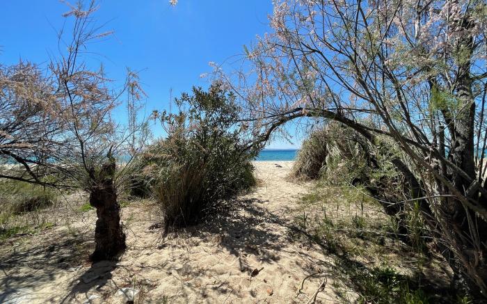 Spacious Maisonette on the eu Blue Beach of Kalogria in Sithonia, Greece