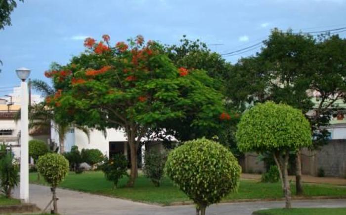 Guarapousada