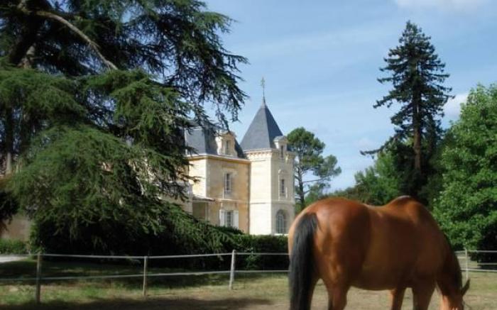Chateau Leognan, Domaine viticole - proche Bordeaux