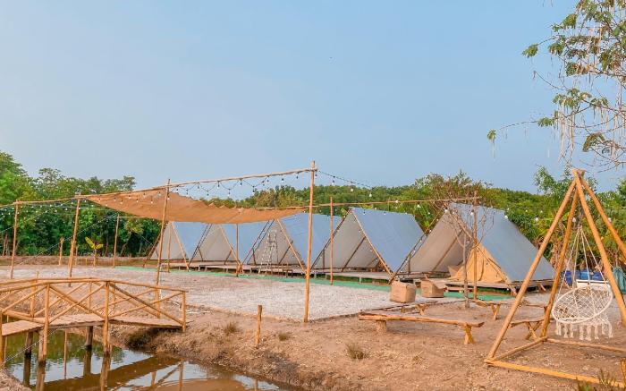 SAY Camp Forest