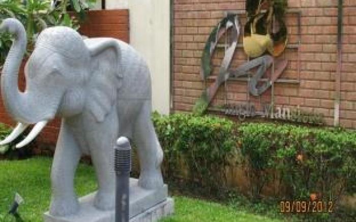 Jungle Village Bungalows 