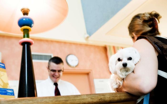 Mercure Szekesfehervar Magyar Kiraly