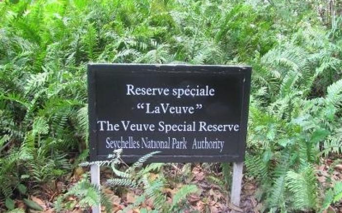 Villa Veuve Casadani Hotel                                                                      