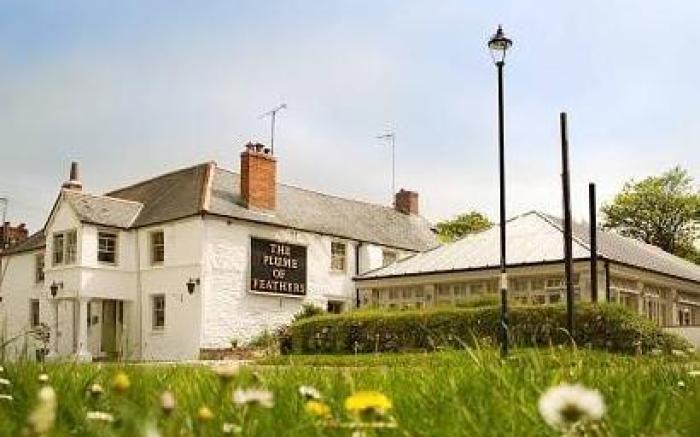 The Plume of Feathers