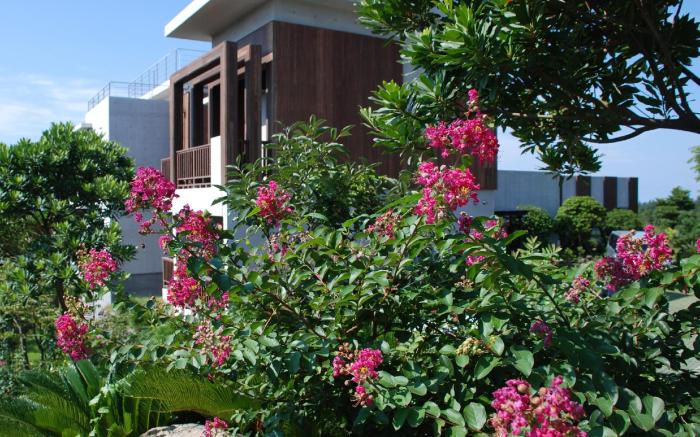 Jejueco Suites
