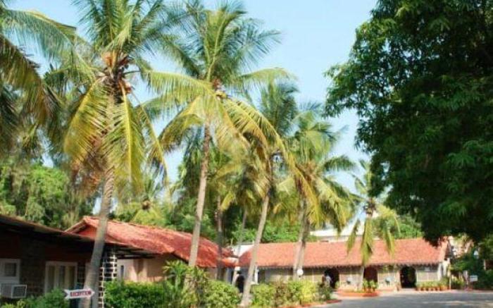 Golden Sun Beach Resort