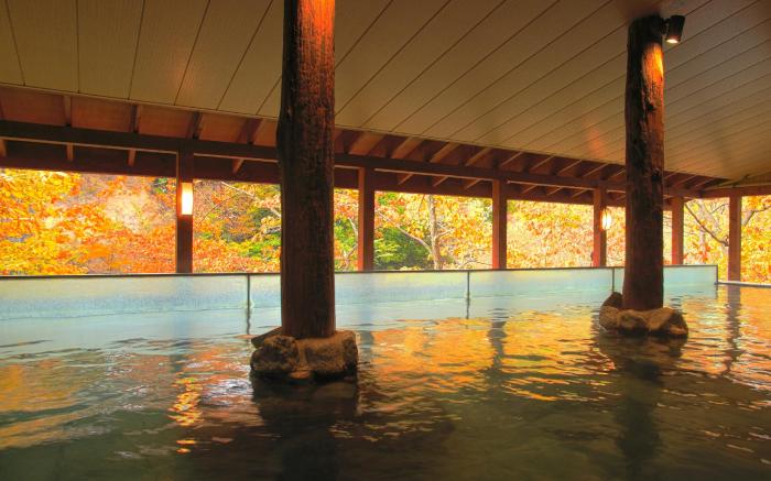 Jozankei View Hotel