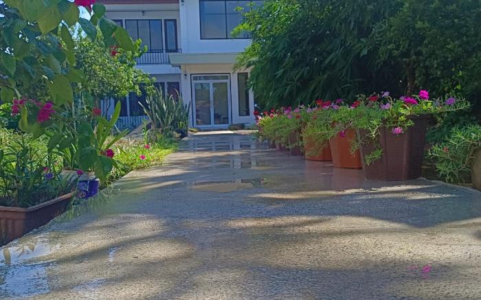 Dok Champa Resort