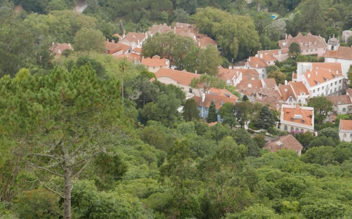 Origem