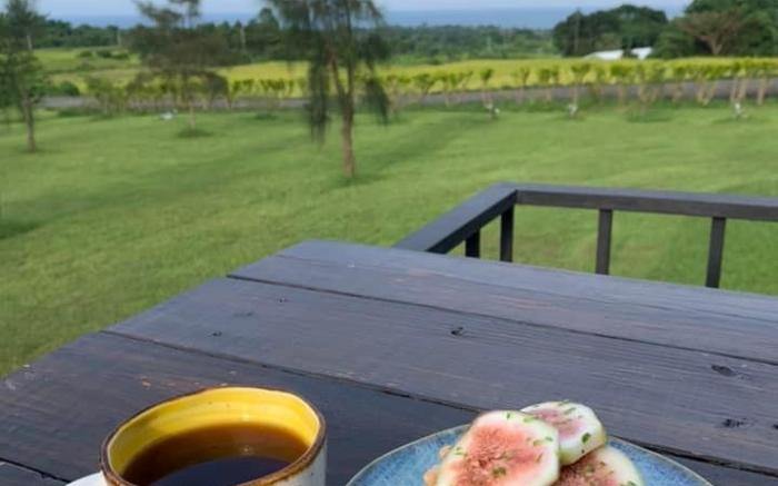 山腳下的金剛芭比民宿KingKong Barbie Down the Hill