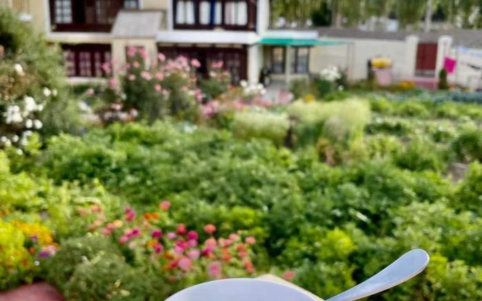 Zaltak Guest House