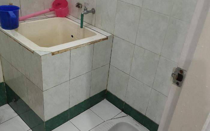 Villa green apple aamaleeq