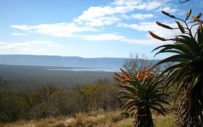 Shayamoya Tiger Fishing and Game Lodge
