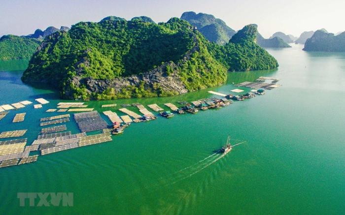 nhà nghỉ Hưng Thơm