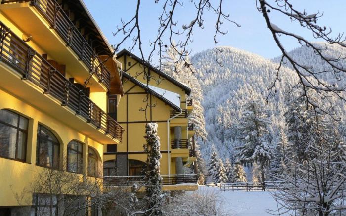 Hotel Ohma - Casa Viorel